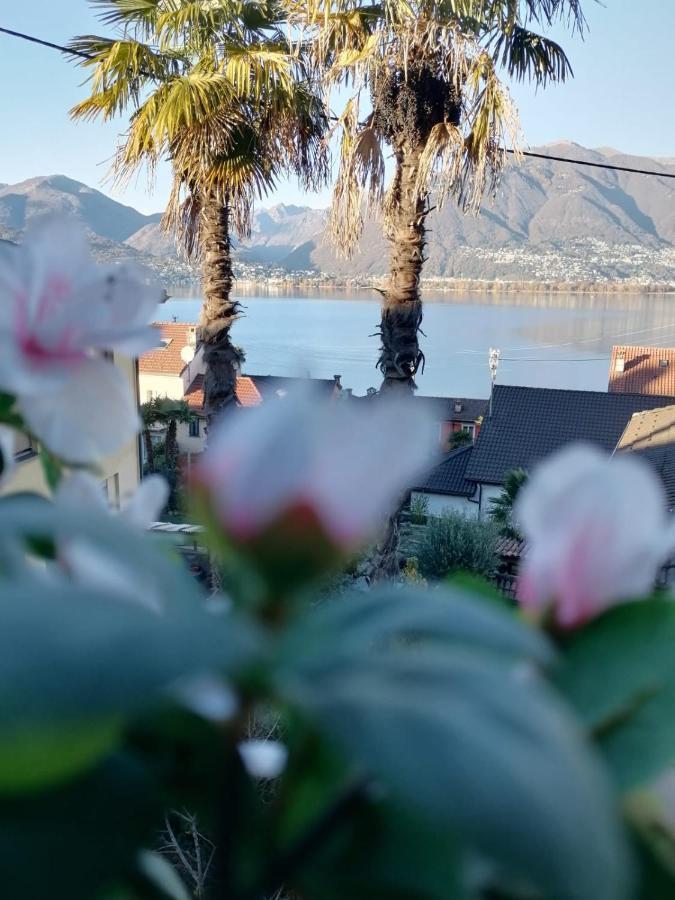 Albergo Ristorante Al Portico Gerra  ภายนอก รูปภาพ