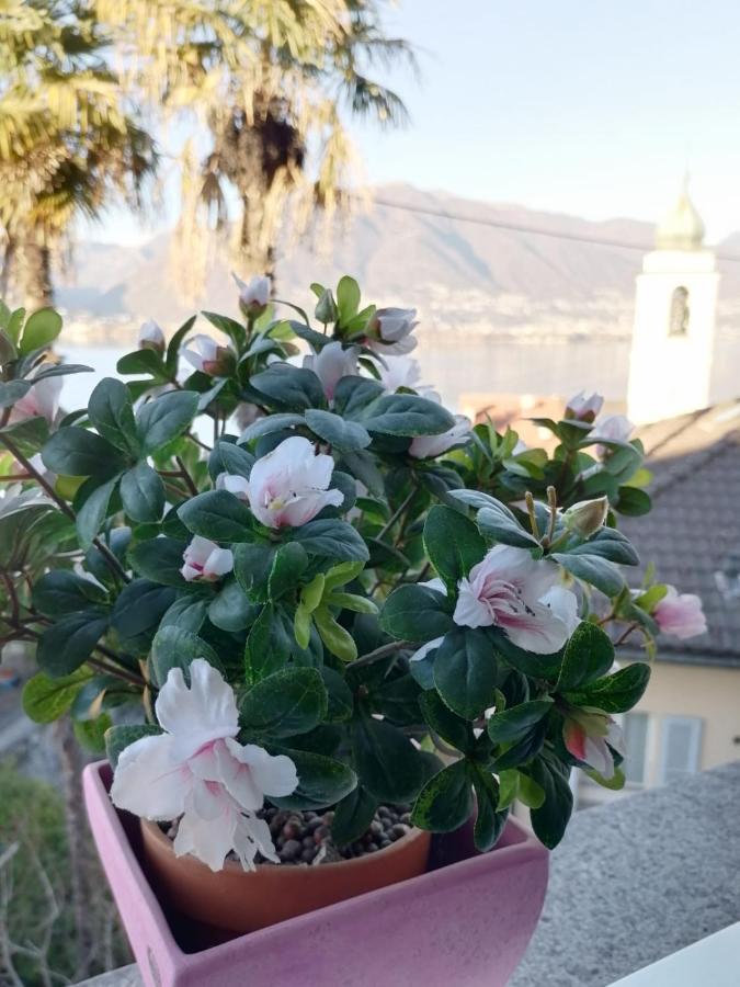 Albergo Ristorante Al Portico Gerra  ภายนอก รูปภาพ